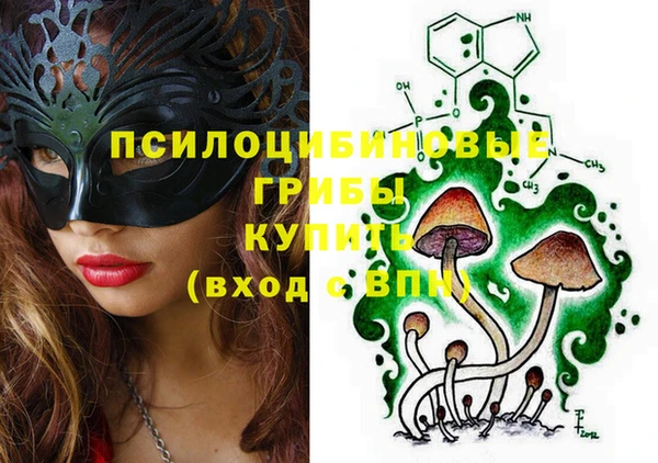 молекула духа Струнино