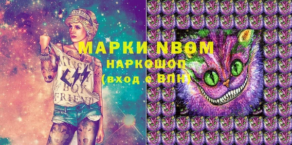 стафф Алексин