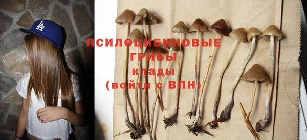 героин Алзамай
